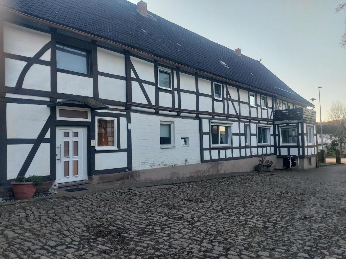 Wolf * Einbeck